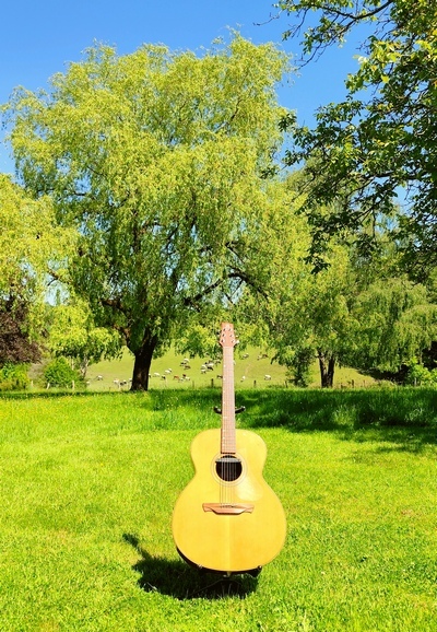 Anthony bromey - guitare